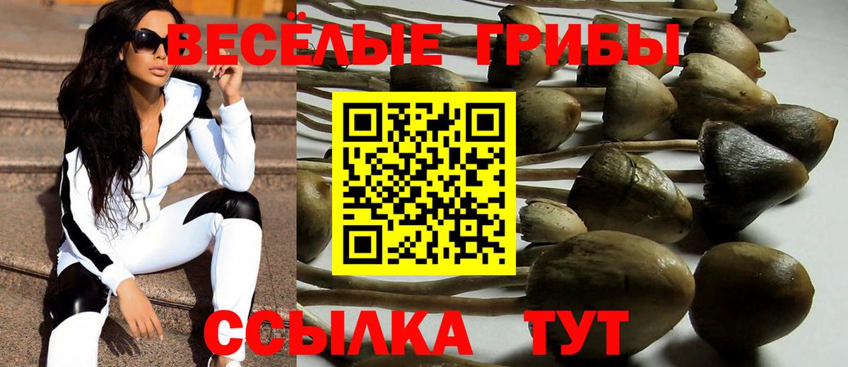 Галлюциногенные грибы Magic Shrooms Богданович